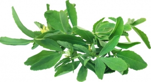 Fenugreek Extract Linked to Exercise, Body Composition Benefits in Healthy Women