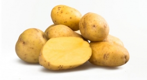 Resistant Potato Starch Reduces Histamine and Leaky Gut Markers 