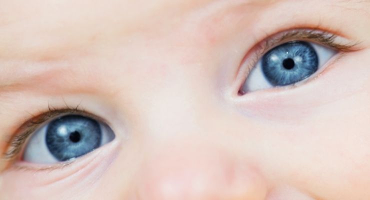 Fatty Acid Supplement Linked to Better Vision in Preterm Babies 