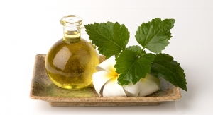 Patchouli Oil Market to Reach $64.4 Million Globally By 2032 
