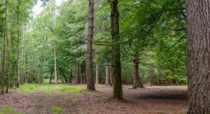 Estée Lauder UK Supports Woodland Creation Project in South Downs