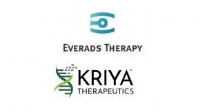 Everads, Kriya Partner on Ocular Gene Therapy Candidates