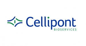 Cellipont, Diakonos Oncology Partner on Glioblastoma Therapy