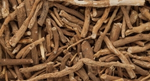 Ashwagandha Extract Linked to Reductions in Perceived Stress and Fatigue 