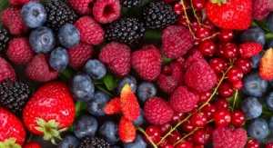 Novella Debuts Line of Whole-Cell Cultivated Berry Phytonutrients
