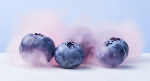 RFI Introduces FermaPro Berries Featuring Enhanced Polyphenol Content
