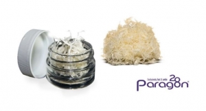 Paragon 28 Rolls Out BEAST Cortical Fibers