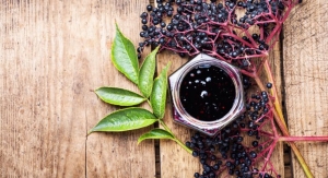 Asiros Nordic Launches Prebiotic Berry Ingredients in the U.S. 
