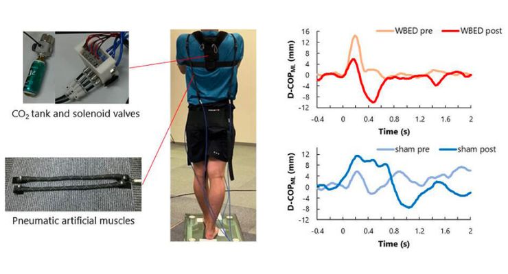 New Wearable Device Helps Improve Postural Control and Reduce Fall Risk