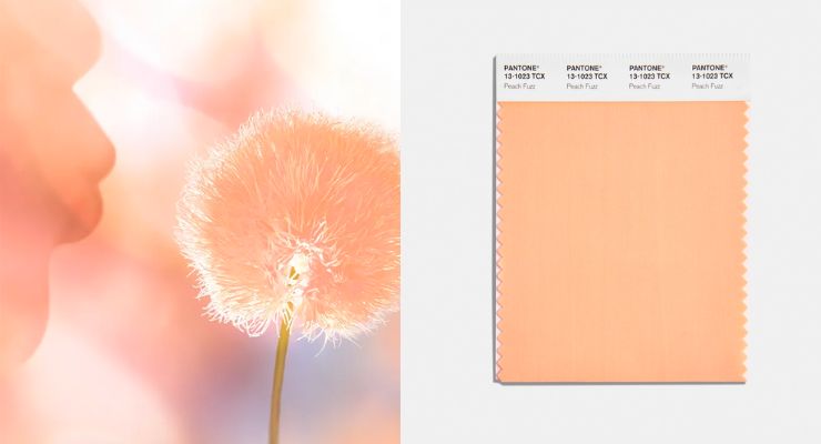 Peach Fuzz is Pantone’s Color of the Year 2024