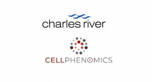 Charles River, CELLphenomics Partner on 3D In Vitro Services