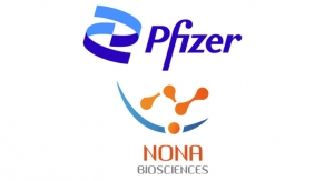 Nona Biosciences, Pfizer Enter Global ADC License Agreement