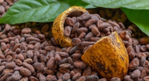 Cocoa Supplementation May Improve Cognition in Cases of Poor Diet Quality: COSMOS Study Follow-Up