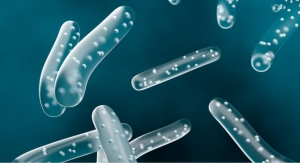 Pre-, Probiotics Enhance Protein Absorption, Body Composition in Athletes: Study 