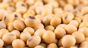 ADM to Expand Traceable Soybean Pilot After First Deliveries to Europe 