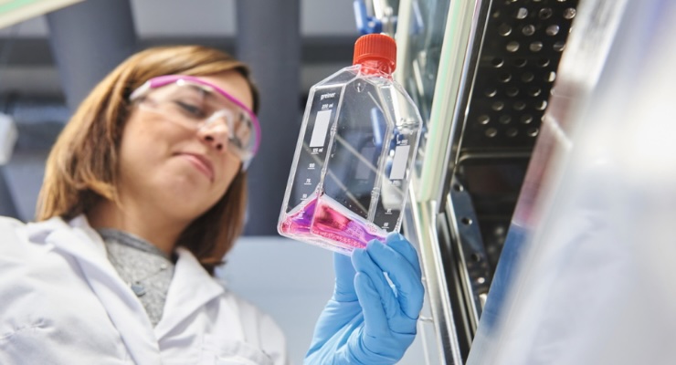 Evonik Launches High-Performance Phosphate Methacrylate