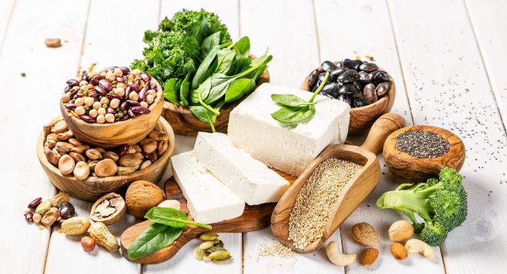 Diets Rich in Plant Protein Linked to Healthy Aging: Nurses’ Health Study 