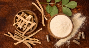 Ashwagandha Extract May Offer Anti-Fatigue Benefits to Overweight Subjects