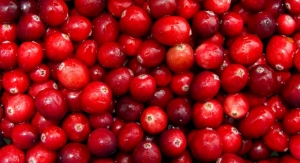 Fruit D’Or: Demand for Cranberry Ingredients is Surging 