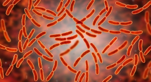 Kerry Launches Plenibiotic Postbiotic Ingredient 