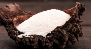 Praan Naturals Debuts Tagua Seed Powder