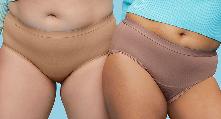 Hanes Ultimate Ultra Light Comfort Bikini Panty in Brown