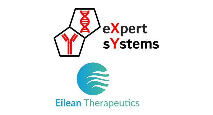 Expert Systems Joins Eilean