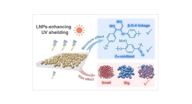 Sun Protection with Lignin Nanoparticles in Cosmetics: Experimental Study