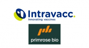 Intravacc and Primrose Bio Partner to Enhance Conjugate Vaccine Development