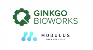 Ginkgo Bioworks Acquires Modulus Cell Therapy Platform Assets