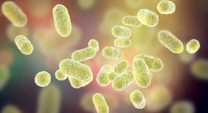 NutriLeads’ BeniCaros Predictably and Beneficially Modulates Gut Microbiome: In Vitro Study 