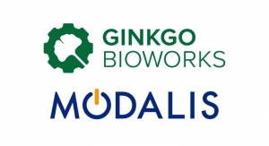 Modalis Joins the Ginkgo Technology Network