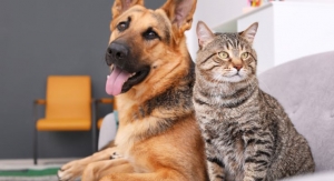 dsm-firmenich to Introduce Omega-3 Ingredient for Pets 