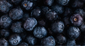 Blueberry Ingredient May Improve Cognition in Older Adults
