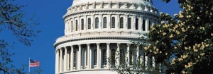 Capitol Comments: Enforcement, According to FDA