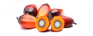 Red Palm Oil Goes Mainstream
