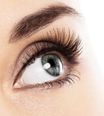 Shiseido Finds Growth Ingredient for Eyelashes
