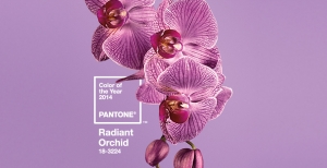 Radiant Orchid: How to Use It