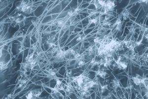 Microfluidics Develops Methods for Processing Carbon Nanotubes