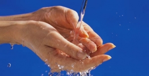 New Study Finds Antibacterial Soaps Quell Foodborne Illness
 