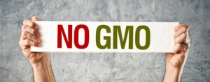 Voters Reject GMO Labeling Measures in Colorado & Oregon