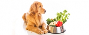 From Farm to … Pet Food
