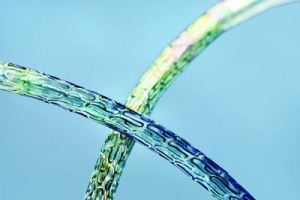Biotronik to Offer New Treatment Options With Release of Orsiro Drug-Eluting Stent